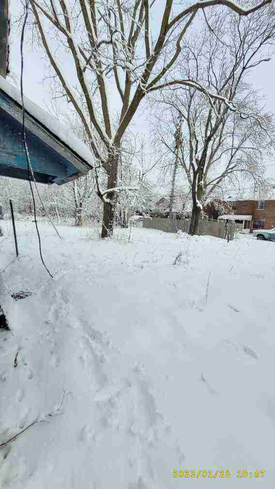 12794 alcoy (39).jpg